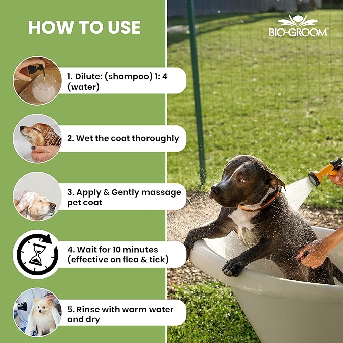 Bio-Groom Flea & Tick Dog Shampoo – Flea and Tick Prevention for Dogs, Cat Flea Treatment, Cruelty-Free, Made in USA, Natural Tick Repellent, Protein-Lanolin Shampoo – 12 fl oz 1-Pack