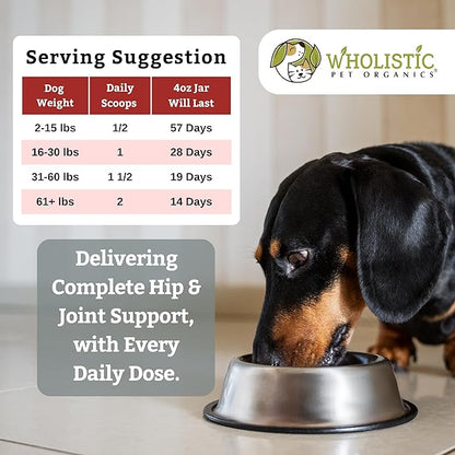 Wholistic Pet Organics Joint Supplement for Dogs - 4 Oz - Daily Dog Hip and Joint Supplement with Glucosamine Chondroitin & MSM to Support Mobility - All Breeds & Ages - Organic Glucosamine for Dogs