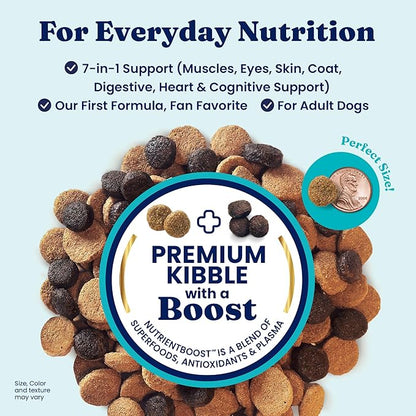 Solid Gold Lamb Dog Food Dry for Adult & Senior Dogs– High Protein Healthy Dog Kibble for Medium & Large Breeds – Whole Grain, Omega 3 & Probiotics for Gut Health & Digestion – Nutrientboost™ –3.75LB