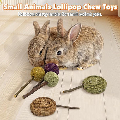 Fhiny Rabbit Chew Toys, 15 PCS Natural Bunny Lollipop Chew Sticks Handmade Guinea Pig Molar Treats for Teeth Small Animals Snacks for Guinea Pig Bunny Chinchilla Hamster Gerbil Teeth Care
