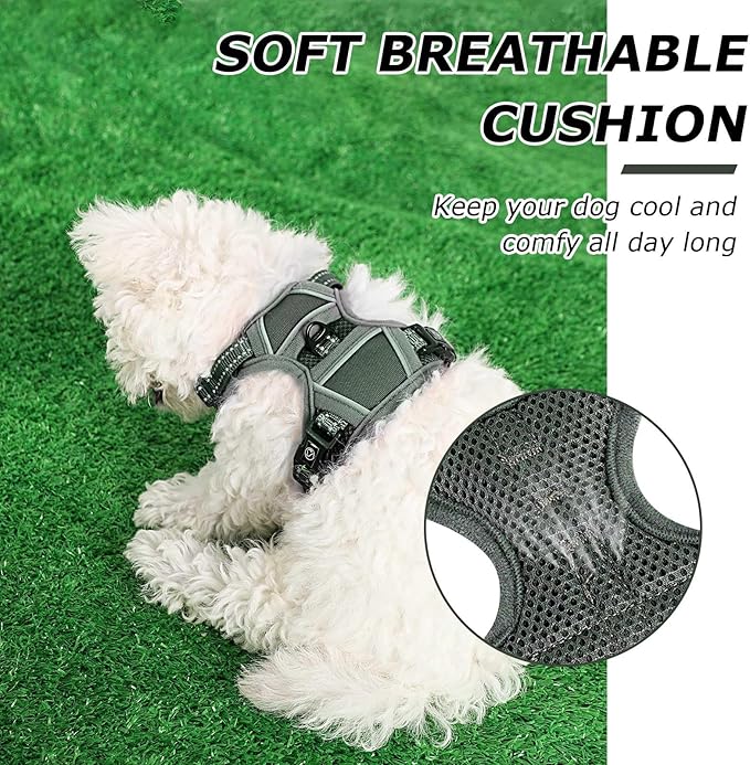 Dog Harness Small Sized Dog, No Pull Pet Harness with 2 Leash Clips, Adjustable Soft Padded Dog Vest Harnesses, Reflective No-Choke Pet Oxford Vest