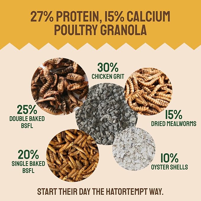 10lb Grubs & Grits Organic Chicken Feed - 3 Grub Blend with Oyster Shells & Grits - Dried Mealworms for Chickens Plus Large & Small Black Soldier Fly Larvae - Food Designed for Foraging