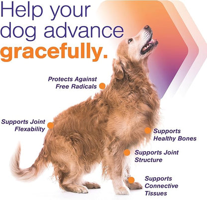 Advanced Joint Support Supplement for Small Dogs - Hip and Joint Support - Dog Joint Supplement - Hip and Joint Supplement Dogs - 120 Soft Chews (by Virbac)