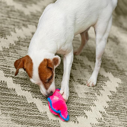 Outward Hound Durablez Minis Stuffing-Free Squeaky Plush Dog Toy for Puppies & Small Dogs - Interactive, Soft Yet Tough, No Mess, Jumbo Squeaker, Long-Lasting Play, Pig
