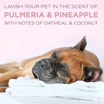 TropiClean SPA Lavish Dog Shampoo | Pure Tearless Hypoallergenic Dog Shampoo | Naturally Derived Salon Grade Ingredients | Made in the USA | 1 Gallon