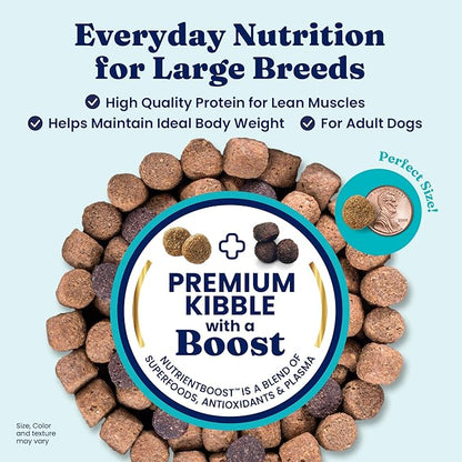 Solid Gold Bison Dry Dog Food for Large Dogs  High Protein, Whole Grain Kibble with Real Bison, Brown Rice & Omega 3  Large Kibble w/Probiotics for Gut Health - Adult Dog Food - Nutrientboost¢â22LB