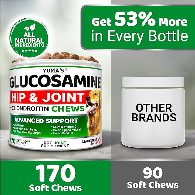 YUMA'S Glucosamine for Dogs - Hip and Joint Supplement for Dogs - 170 Ct - Glucosamine Chondroitin Chews - Joint Pain Relief Supplement with MSM - Advanced Health - Mobility Support - Made in USA