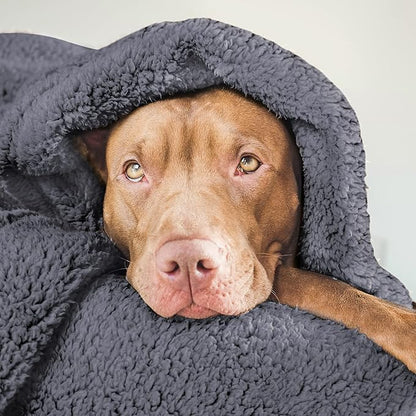 furrybaby Dog Blanket Soft Dog Blankets for Large Dogs Puppy Essentials Washable Fluffy Sherpa Fleece Cat Blanket 40x47 Inches for Bed Furniture Couch Sofa (Double-Layer Large, Grey)