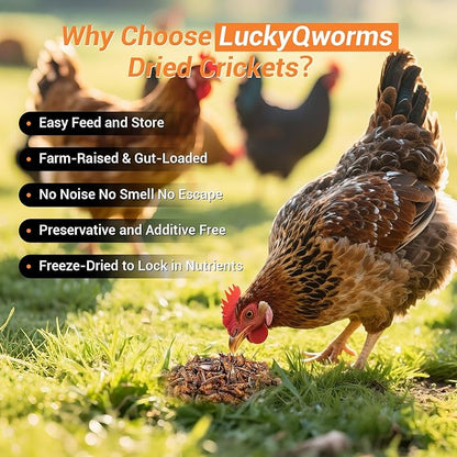 Dried Crickets 1 lb for Chickens, Wild Birds, Hedgehogs, Reptiles, Lizards, Bearded Dragons, Fish, Turtles - High Protein Natural Insect Food Resealable Bag