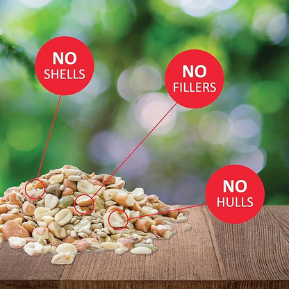 Lyric Delite Wild Bird Seed - No Waste Bird Food Mix with Shell-Free Nuts & Seeds - Attracts Buntings, Chickadees & Finches - 20 lb bag