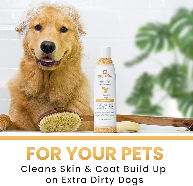 Dog Shampoo and Conditioner - Aromatic Tearless Shampoo for Cleansing, Grooming, and Conditioning - Moisturizing Anti Itch Shampoo for Dogs and Puppies - Mandarin Ginger 13.5 oz.