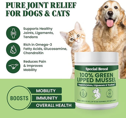 Special Breed Green Lipped Mussel Powder for Dogs & Cats - 100% New Zealand - Natural Hip & Joint Supplement for Joints, Tendons, Ligaments, Muscles - 100 Grams - Up to 332 Servings
