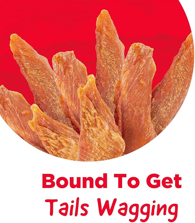 Chicken Jerky Tender Dog Treats, High Protein, Low Fat, No Artificial Colors, 16 oz