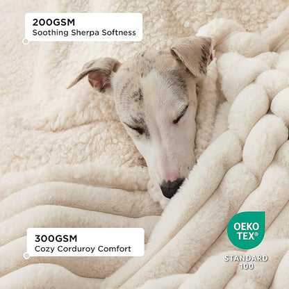 Bedsure Waterproof Dog Blankets for Large Dogs - Soft Pet Cat Blanket Corduroy Fleece for Bed Protector Washable, Cozy Calming Reversible Furniture Protection for Puppy,60"x80", Cream