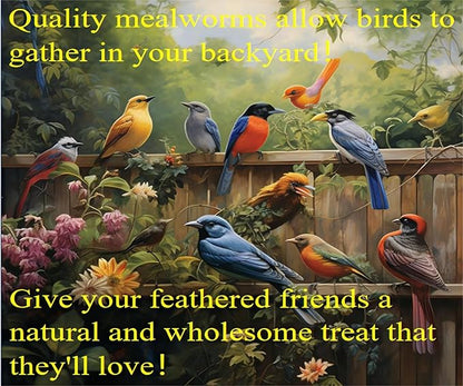 11lb Dried mealworms - High Protein, Pure Natural, Delicious - Ideal for Chickens, Birds, Ducks, Lizards, Turtles, Fish, and Reptiles, 11lbs Meal Worms