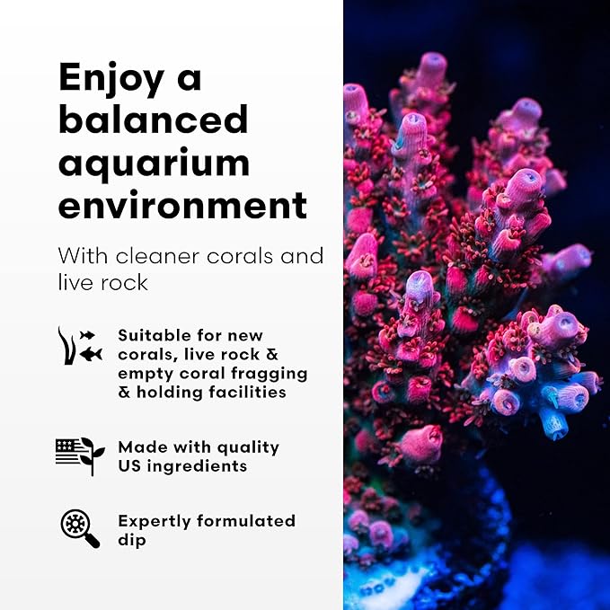 Brightwell Aquatics Koral MD Pro - Professional Strength Coral & Frag Dip & Cleaner, Conditioner & Acclimator for Coral Aquarium Tanks - Aquarium Water Treatments & Reef Supplies, 4.2 fl oz