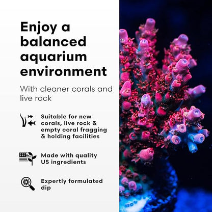 Brightwell Aquatics Koral MD Pro - Professional Strength Coral & Frag Dip & Cleaner, Conditioner & Acclimator for Coral Aquarium Tanks - Aquarium Water Treatments & Reef Supplies, 4.2 fl oz