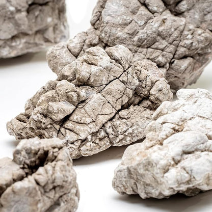 SubstrateSource Natural Stone for Aquarium, Terrarium, Paludarium, Reptile Enclosures - Set of Decorative Rocks for Landcapes, Aquascaping, Fish Tank Decor (Elephant Skin Stone, 30 Pounds, 2-8")