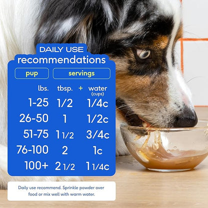 Native Pet Bone Broth for Dogs and Cats - Turkey Bone Broth Powder Dog Food Toppers for Picky Eaters - Provides Extra Nutrition for Joint Strength, Immune Support & Heart Health - 192 Scoops