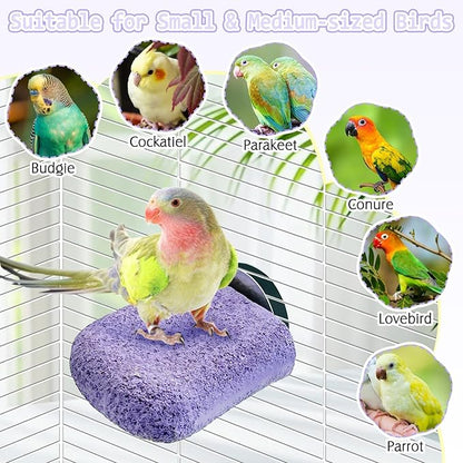 PINVNBY 5 Pack Bird Perch Resin Bird Beak Grinding Stone Parrot Cage Stand Platform Foot Claws Trimmer Chew Toy Cage Accessories for Budgie Cockatiel Conure Lovebird Finch (Purple)