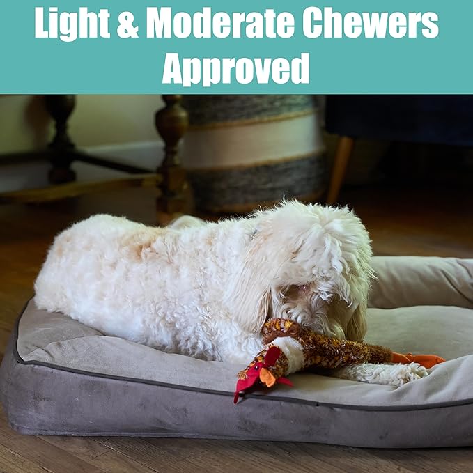 SPOT Skinneeez Chicken 17" Stuffing-Free Plush Dog Toy with Honking Squeaker – Soft, Floppy & Mess-Free Interactive Toy for Medium & Large Dogs – Ideal for Light & Moderate Chewers