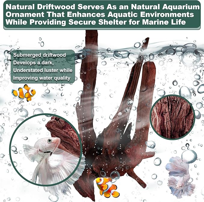 Natural Wood Driftwood for Aquarium Fish Tank Decor,Assorted Trunk Driftwood Branch for Reptile Decor (ZYM Driftwood Medium (8 to12 Inch)-Pack of 1)