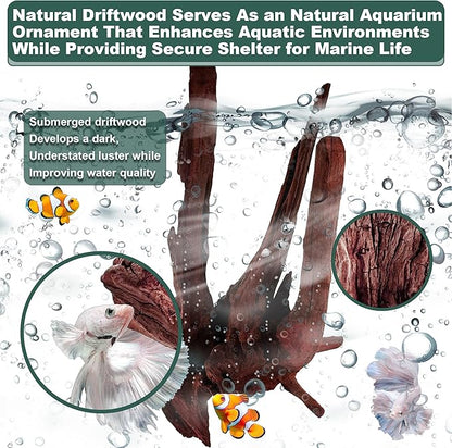 Natural Wood Driftwood for Aquarium Fish Tank Decor,Assorted Trunk Driftwood Branch for Reptile Decor (ZYM Driftwood Medium (8 to12 Inch)-Pack of 1)