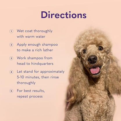 MySimplePetLab Soothing Skin Wash, Dog Shampoo for Itching, Relief for Itchy, Dry, Sensitive Skin, Gentle Formula, Moisturizes, Aloe and Oatmeal, Pina Colada Scent