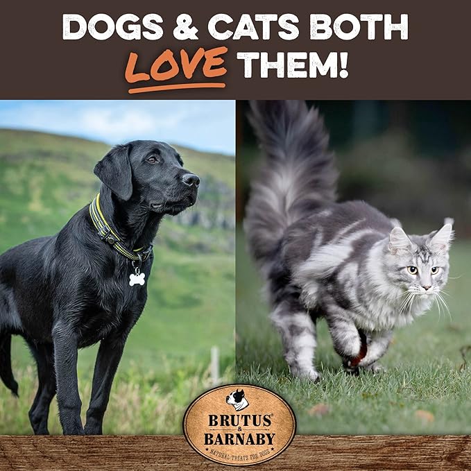 Freeze Dried Dog Treats, Beef Liver - All Natural - Healthy, Grain Free, Single Ingredient Dog Treat Liver Treats for Dogs - Beef Liver Dog Treats That Are Small Bites Perfect For Dog Training Treats