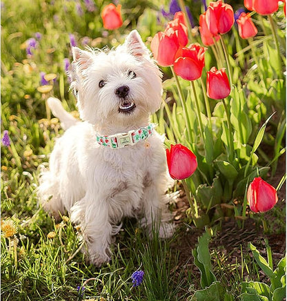 Lionheart glory Dog Collar Pink Flower Dogs Collar Summer Spring Cute Collars Dog Girl or Boy Soft Durable Adjustable Dog Collars for Medium Dogs Pet Gift