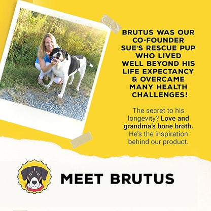 Brutus Bone Broth for Dogs - Bone Broth Powder with Chondroitin Glucosamine & Turmeric - Human Grade Dog Food Toppers for Dry Food & Picky Eaters - 5 Stick (Beef)