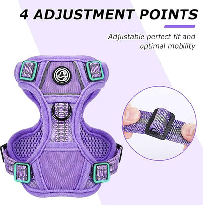 Dog Harness Small Sized Dog, No Pull Pet Harness with 2 Leash Clips, Adjustable Soft Padded Dog Vest Harnesses, Reflective No-Choke Pet Oxford Vest