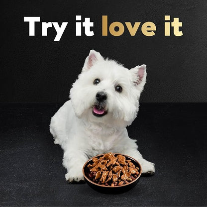 Cesar Wet Dog Food 40 Count Multipack