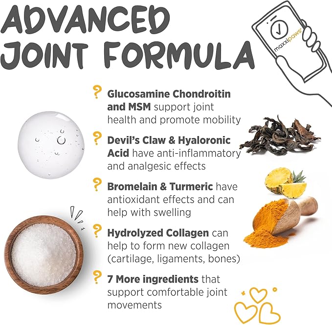 maxxipaws - maxxiflex+ Hip & Joint Supplement for Dogs with Glucosamine, Chondroitin, MSM & Collagen | Mobility, Flexibility & Discomfort Support | Senior, Adult & All Breeds | 120 Tablets