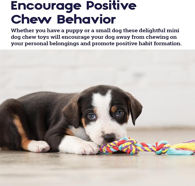Petstages Orka Mini Dental Dog Chew Toys - 3 Pack