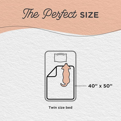 Best Friends by Sheri Calming Lux Dog Blanket, Dark Brown, 40" x 50"