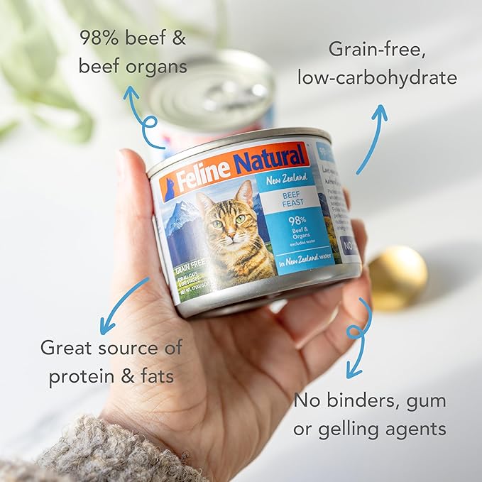 Feline Natural Wet Cat Food Pate, Beef Feast, 6 Oz Cans (Pack of 12), Grain Free, Made in New Zealand with Grass-Fed and Finished Beef, Single Source, Limited Ingredient