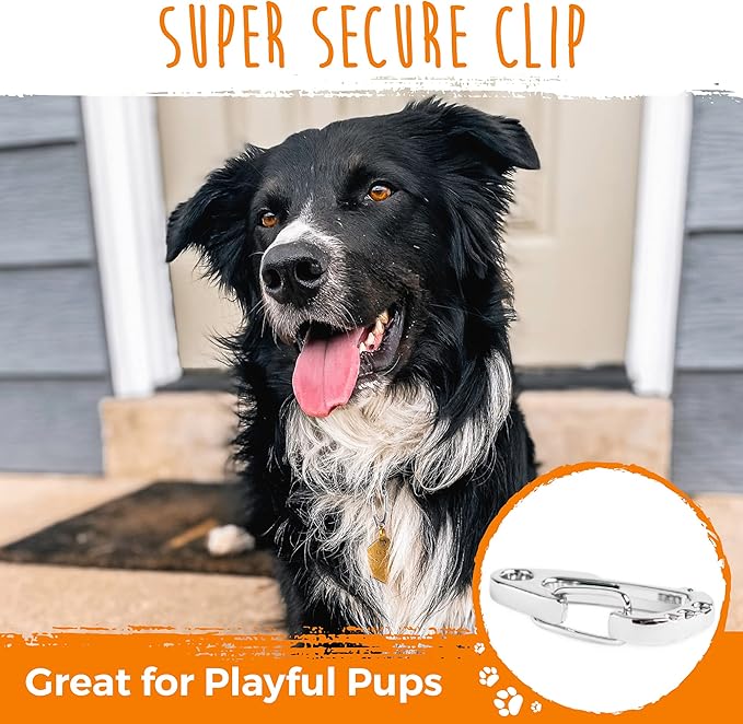 Mighty Paw Dog Tag Carabiner Clips - 3 Pack Strong Dog Tag Clip - Weather Resistant & Easy to Clean Quick ID Holders - Easy Switch Dog Tags - Attach Keys or Poop Bag Holders - for All Size Collars