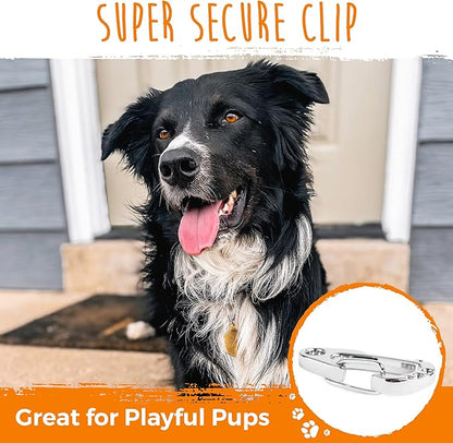 Mighty Paw Dog Tag Carabiner Clips - 3 Pack Strong Dog Tag Clip - Weather Resistant & Easy to Clean Quick ID Holders - Easy Switch Dog Tags - Attach Keys or Poop Bag Holders - for All Size Collars