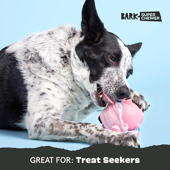 Barkbox Hambone Super Chewer Tough Dog Chew Toy for Aggressive Chewers, Plush Cover with Rubber Core - 2 Toys in 1  Two Layer Treat Dispensing Dog Toy for Large Dogs