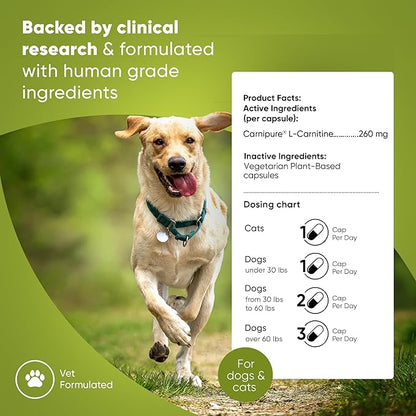 Rooted Owl Metabolism Support - L-Carnitine Supplement for Dogs and Cats to Support Healthy Weight - Dog and Cat Supplement - 60/ct