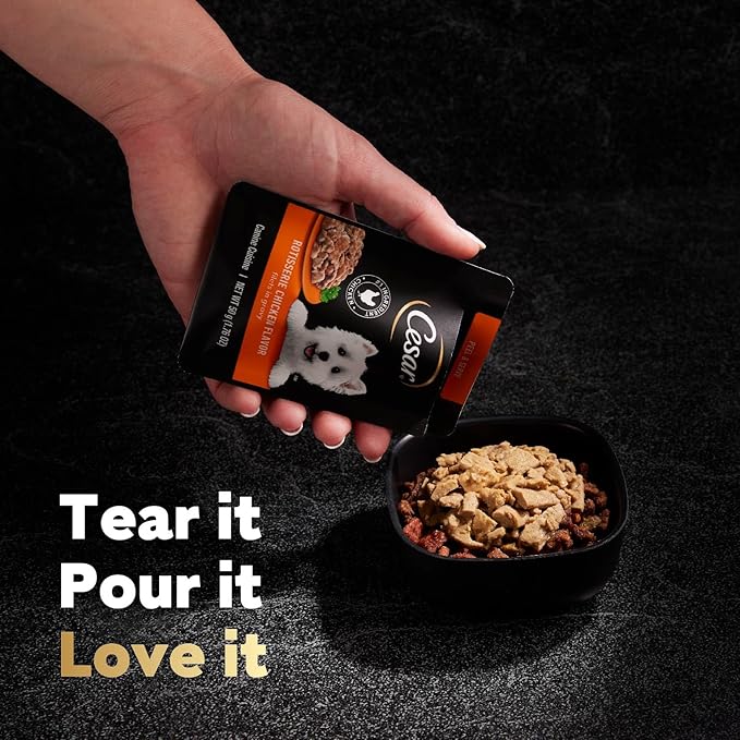 Cesar Filets in Gravy Wet Dog Food Rotisserie Chicken Flavor, 1.76 oz. Mini-Pouch, 20 Pack