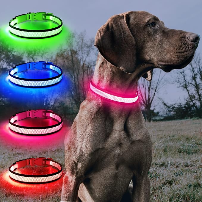 BSEEN Light up Dog Collar Lights for Night Walking - Waterproof LED Dog Collar Light Rechargeable Glow in The Dark Dog Collars for Small Dogs (Pink, Small)