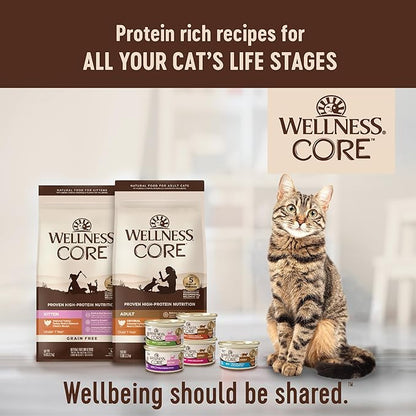 Wellness CORE Adult Dry Cat Food for Indoor & Outdoor Cats, Grain-Free, Natural, Turkey, Turkey Meal and Duck (5 Pound Bag)