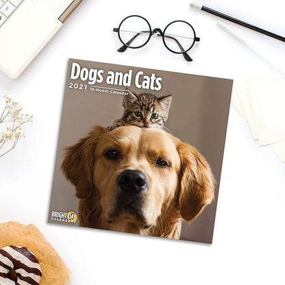 2-Speed USB Rechargeable Electric Cat Dog Pet Nail Trimmer 03