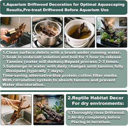 Natural Wood Driftwood for Aquarium Fish Tank Decor,Assorted Driftwood Trunk Branch for Reptile Tank Decor (SHP-XM Driftwood XL(14 to16 Inch)-Pack of 1)