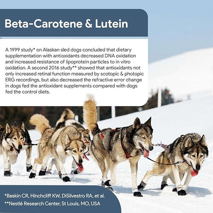 Senior Dog Vision and Cognition Chews - 120 Soft Chews for Dog Eye Care and Memory - 7-in-1 Multivitamin with Omega Fatty Acids, Vitamins, and Botanicals - Made in The USA
