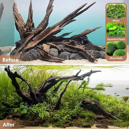Natural Small Aquarium Driftwood for Fish Tanks & Reptile Terrariums – 100% Safe Fish Tank Decorations, Unique Twisted Branches 5-Piece 4-8 Inch Low Tannin, Easy to Sink