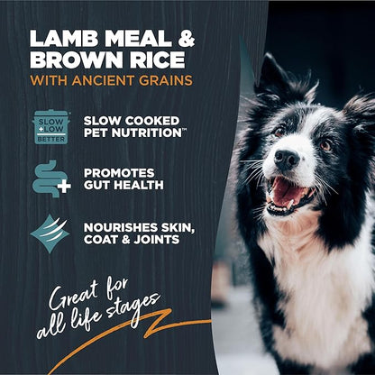 Blackwood Sensitive Skin & Stomach Dry Dog Food, Lamb Meal & Brown Rice with Ancient Grains, 10 Pound Bag with Prebiotics & Probiotics to Promote Gut Health