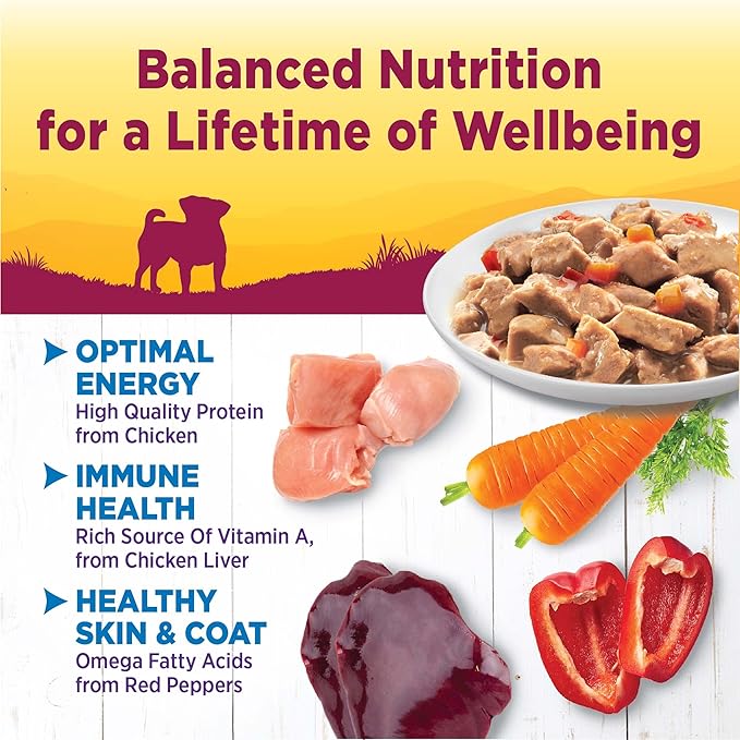 Wellness Natural Pet Food Petite Entrees Mini Fillets Grain Free Natural Wet Small Breed Dog Food, Roasted Chicken, Carrots & Red Peppers, 3-Ounce Cup (Pack of 24)